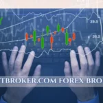 myfastbroker.com forex brokers