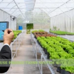 picas greenhouse productions system with business central