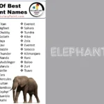 Elephant List