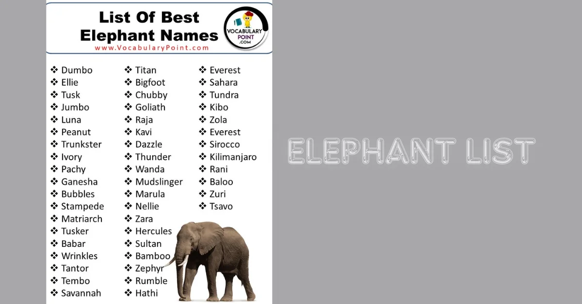 Elephant List