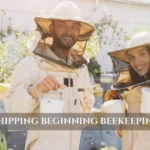 free shipping beginning beekeeping kits