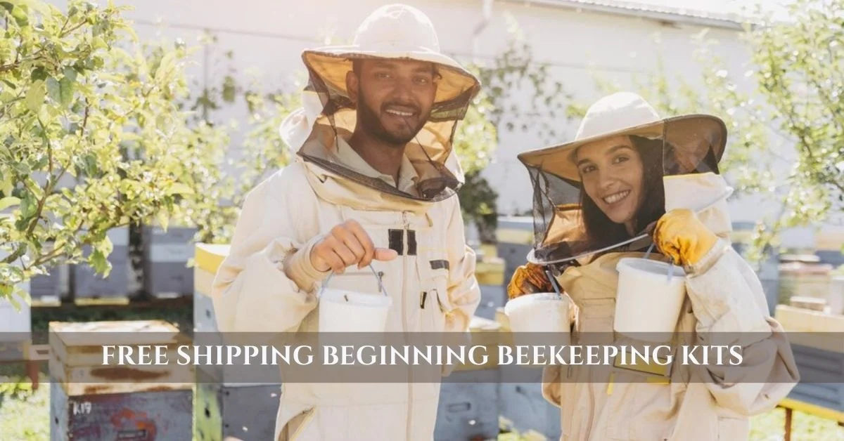 free shipping beginning beekeeping kits