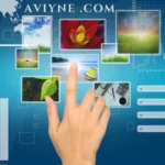 aviyne .com