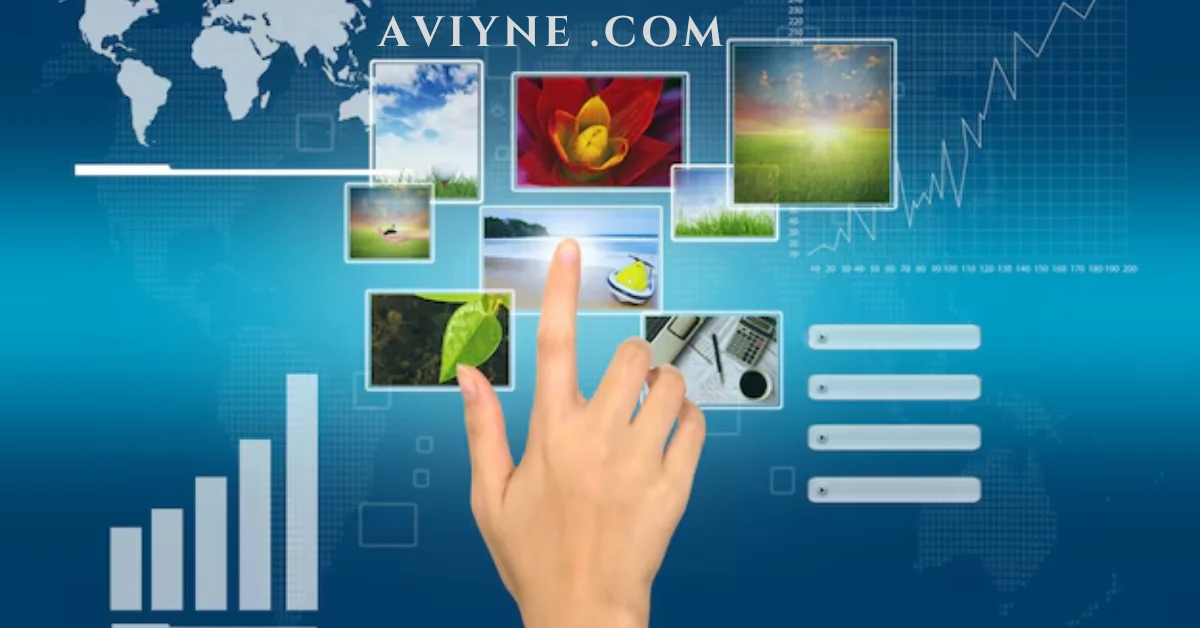 aviyne .com